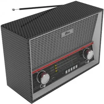 Ritmix RPR-102 (карбон)