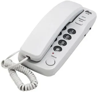 Ritmix RT-100