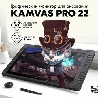 Huion Kamvas Pro 22 (2019)