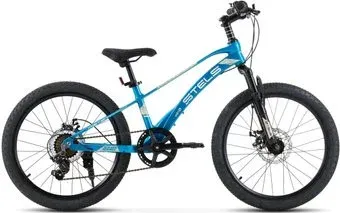 Stels Leader 220 MD 2024 (синий)