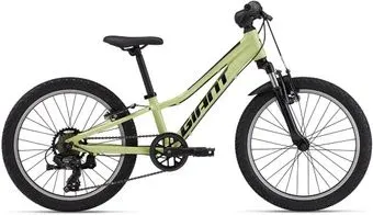 Giant Talon 20" (muscat blanc)