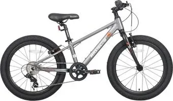 Maxiscoo 5bike 20 M200 2025 MSC-M5-2012 (графит)