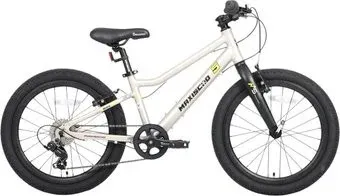 Maxiscoo 5bike 20 L200 2025 MSC-M5-2014 (серый жемчуг)