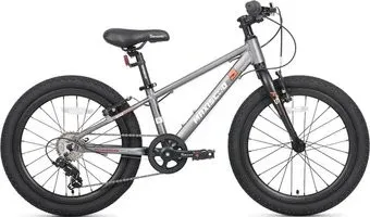 Maxiscoo 5bike 20 M200 2025 MSC-M5-2012 (графит, разобранный)