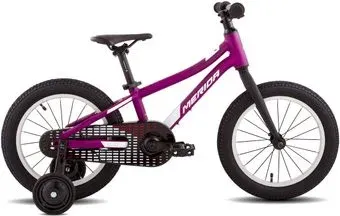 Merida Matts J16+ 2022 (матовый пурпурный)