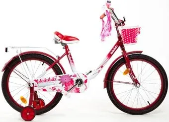Bibibike D20-2P