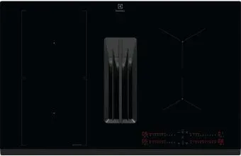 Electrolux COMBO eXtractor ECC8344