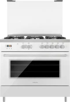 Hiberg FЕG 950-25 MW