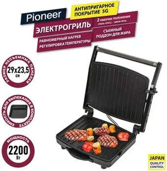 Pioneer GR1065E