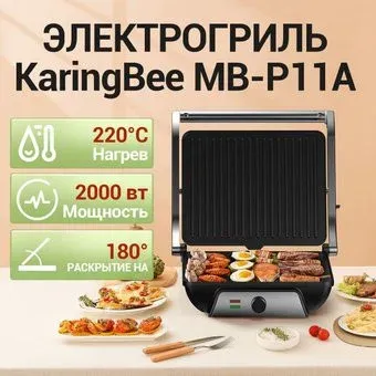 KaringBee MB-P11A