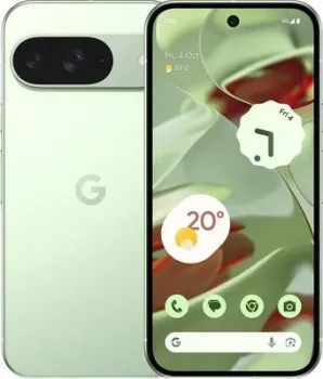 Google Pixel 9 12GB/256GB (винтергрин)