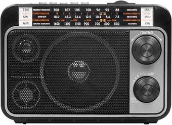 Ritmix RPR-171