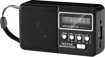 Wster WS-2319 (черный)