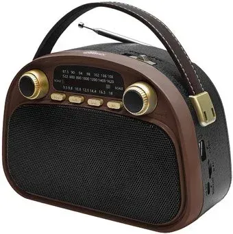 Ritmix RPR-040 (шоколадный)