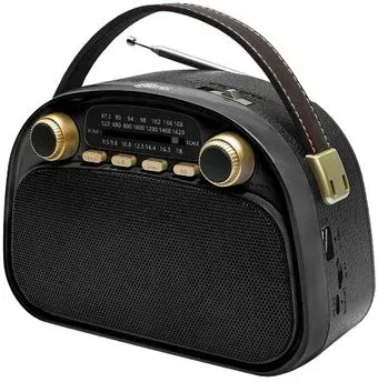 Ritmix RPR-040 (черный)