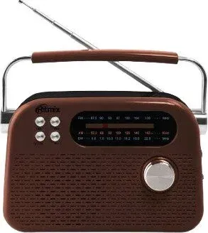 Ritmix RPR-045 (коричневый)