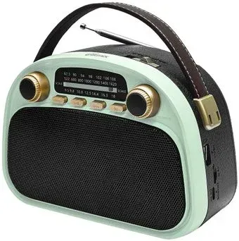 Ritmix RPR-040 (мятный)