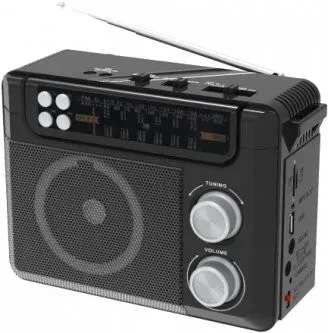 Ritmix RPR-200 (черный)