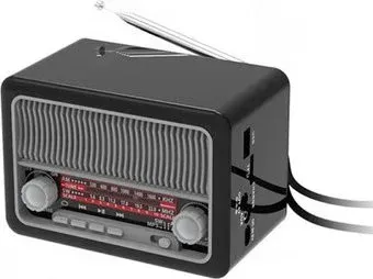 Ritmix RPR-035