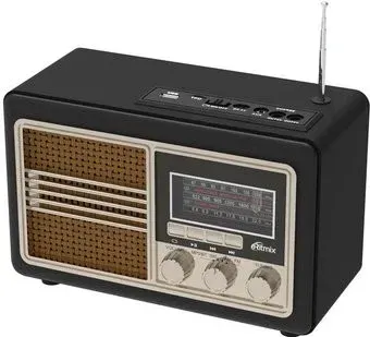 Ritmix RPR-070
