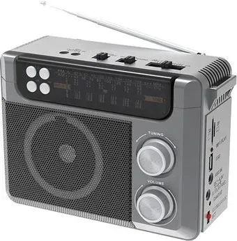 Ritmix RPR-200 (серый)