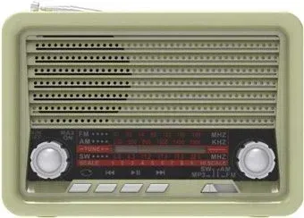 Ritmix RPR-030 (золотистый)
