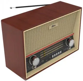 Ritmix RPR-102 (бук)