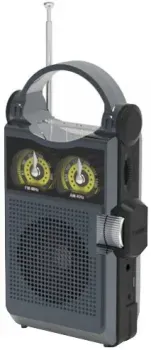 Ritmix RPR-333 (черный)
