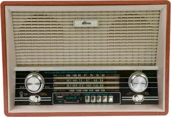 Ritmix RPR-101 (коричневый)