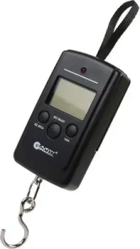 Garin Точный Вес DS2 BL1