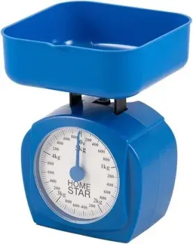 HomeStar HS-3005М (синий)
