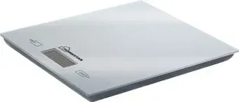 HomeStar HS-3006 (серебристый)