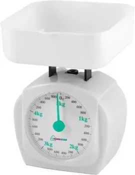 HomeStar HS-3005М (белый)