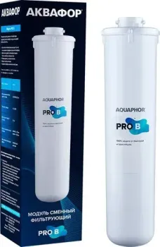 АКВАФОР Pro B