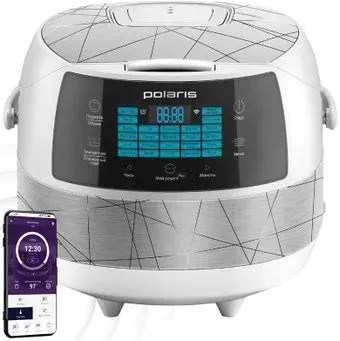 Polaris PMC 5017 Wi-Fi IQ Home (серебристый)