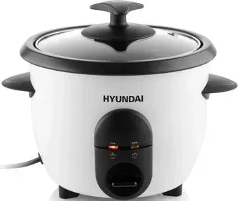 Hyundai RC 060