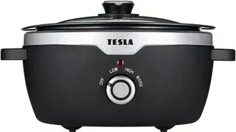 Tesla Electronics S300