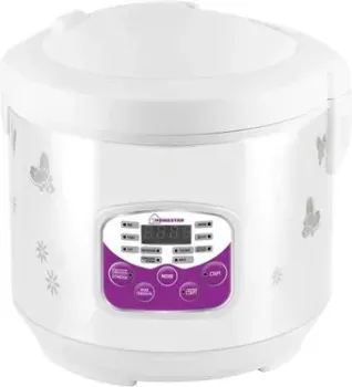 HomeStar HS-2022