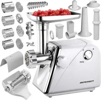 Berdsen BM-600