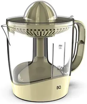 BQ J1005