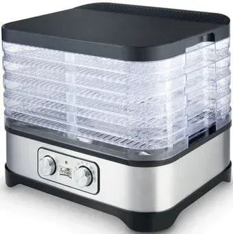 Fritel DH 2025