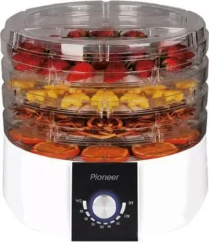 Pioneer FD306