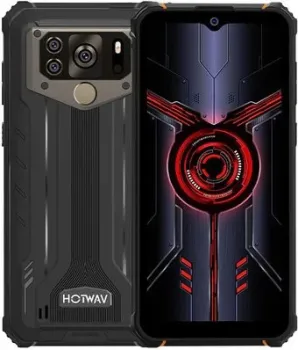 Hotwav W10 Pro 6GB/64GB (серый)