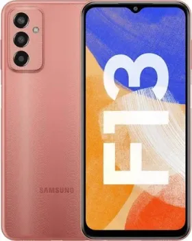 Samsung Galaxy F13 SM-E135F/DS 4GB/64GB (медный)