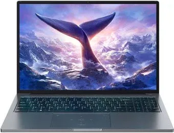 Blackview GamiBook 8 16GB/512GB (серый)