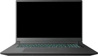 Thunderobot 911 X17 i7136H56C1Q165MBD