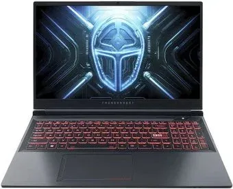 Thunderobot Blade R15 i9149HX406016G1TQ165HMG