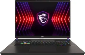MSI Vector 17 HX A14VIG-1019XRU