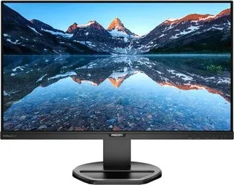 Philips 252B9/00