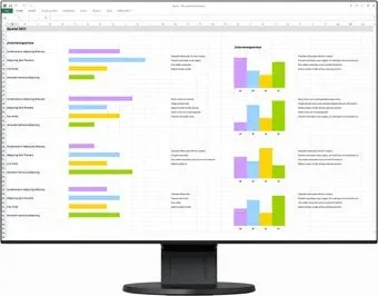 EIZO FlexScan EV2456-BK